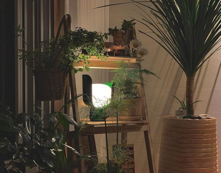 Adjustable Petal-Shape Glass LED Table Lamp