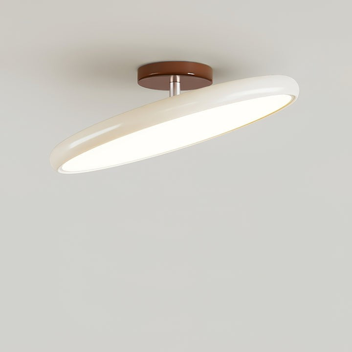 Adjustable Round LED Ceiling Light