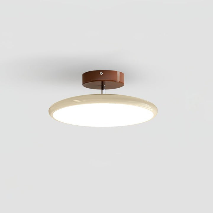 Adjustable Round LED Ceiling Light