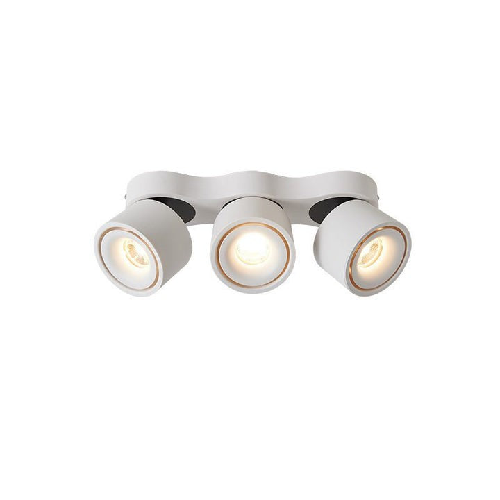 Adjustable Three-Head Folding LED Ceiling Light