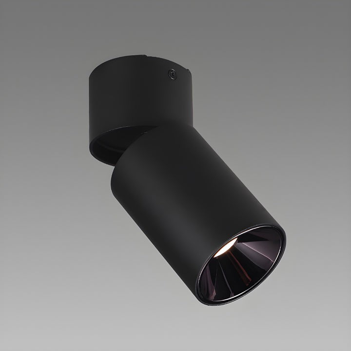Adjustable Tube Surface Mount LED Downlight