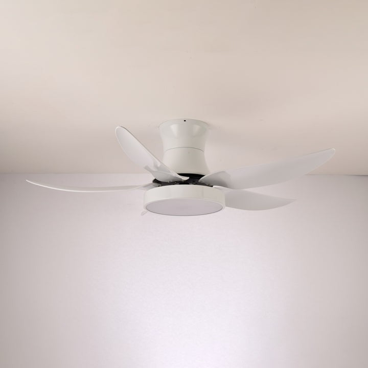 Black Wave-Blade LED Ceiling Fan Light with Remote Control