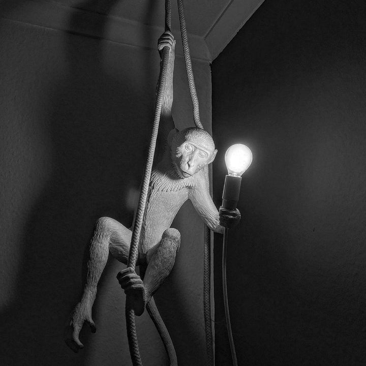 Glossy Resin Monkey Hanging Pendant Light