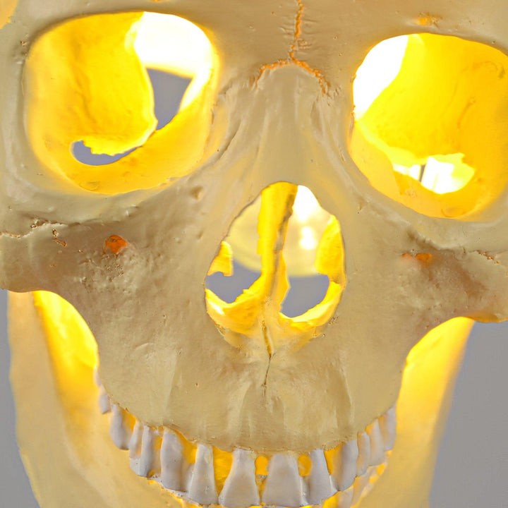 Ivory Skull Pendant Lamp – Resin & Metal Ceiling Fixture