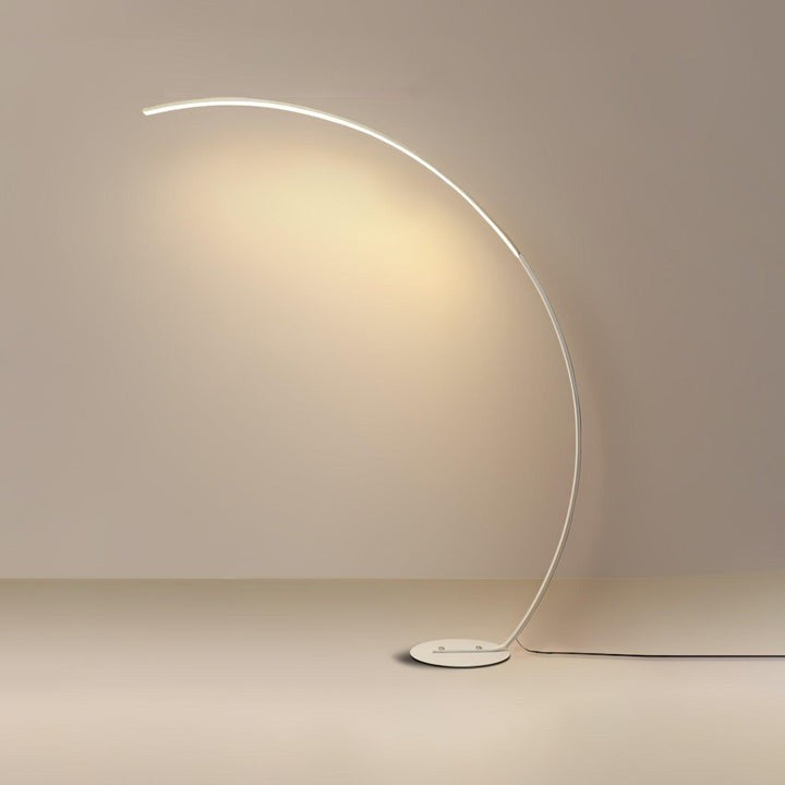 Modern Arch LED Floor Lamp