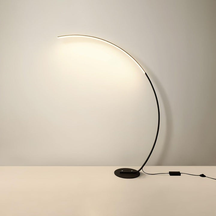 Modern Arch LED Floor Lamp