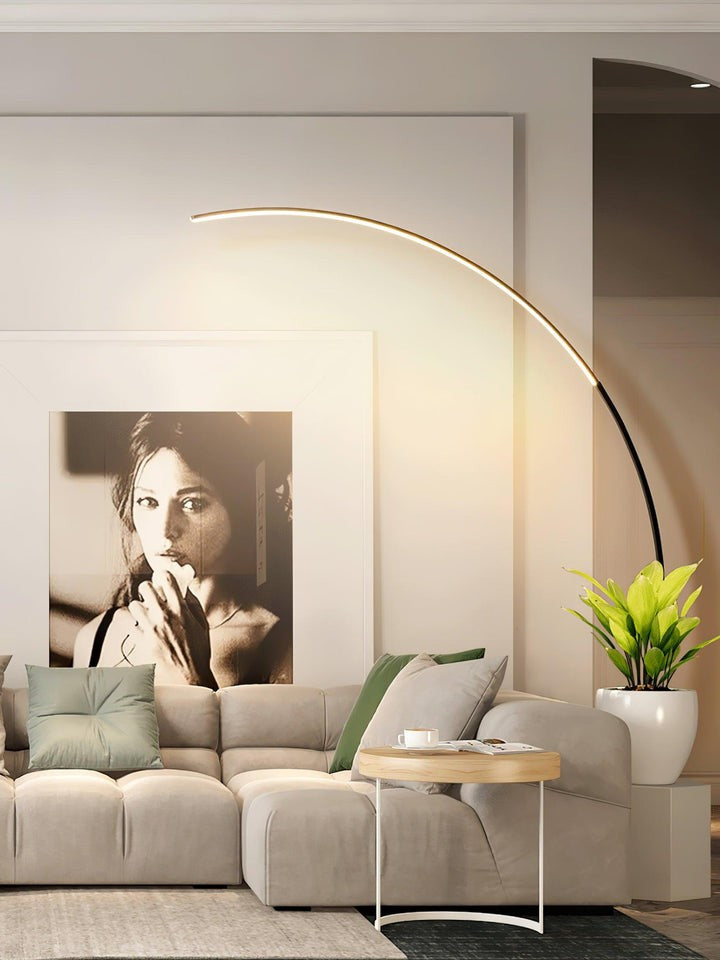 Modern Arch LED Floor Lamp