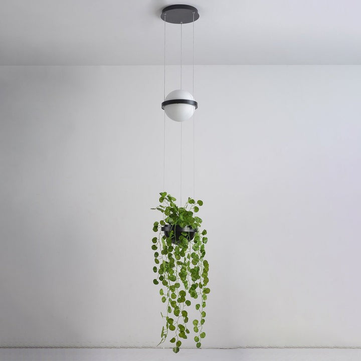 Orbit Sphere Modern LED Globe Pendant Light