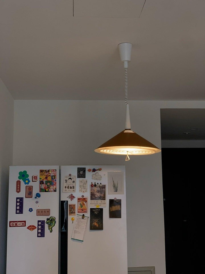 Retro Frosted Glass Pendant Light with Adjustable Cable