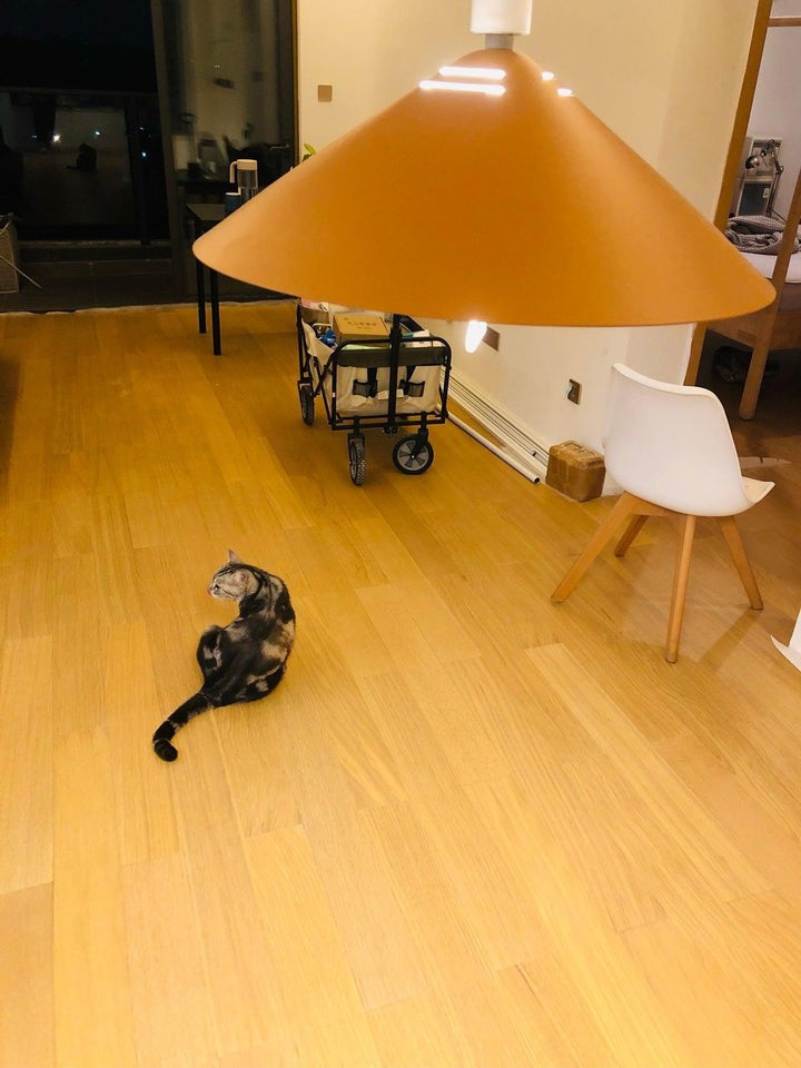 Retro Frosted Glass Pendant Light with Adjustable Cable
