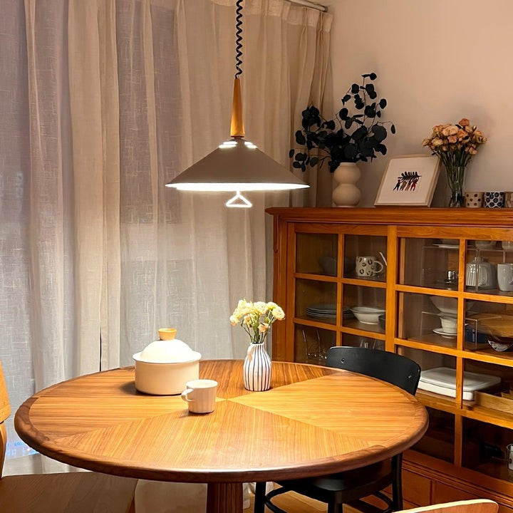 Retro Frosted Glass Pendant Light with Adjustable Cable