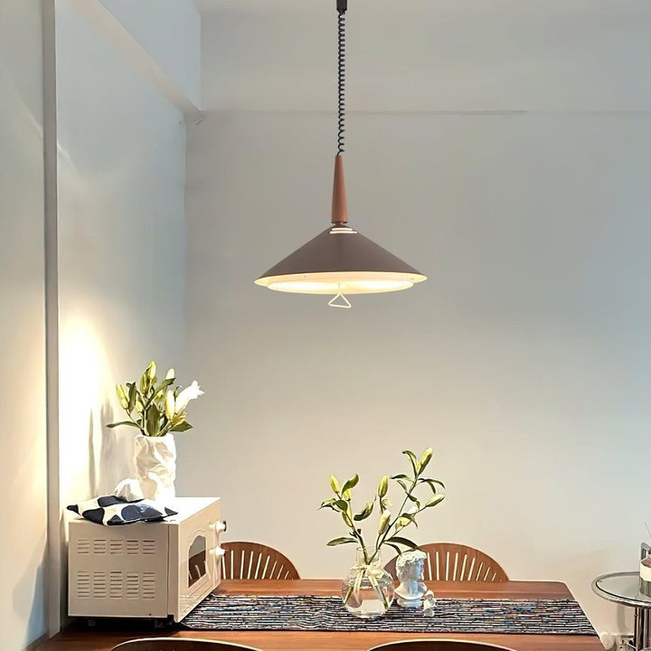 Retro Frosted Glass Pendant Light with Adjustable Cable