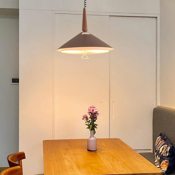 Retro Frosted Glass Pendant Light with Adjustable Cable