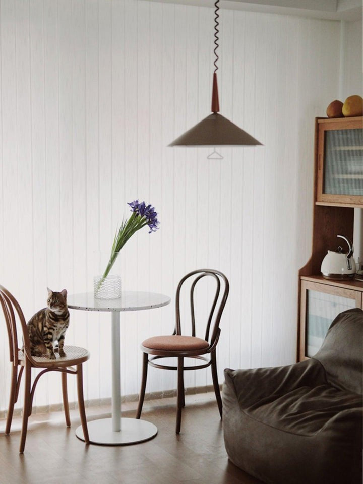 Retro Frosted Glass Pendant Light with Adjustable Cable