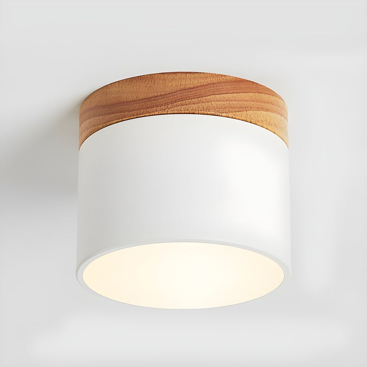 Scandinavian Wooden LED Ceiling Surface Downlight