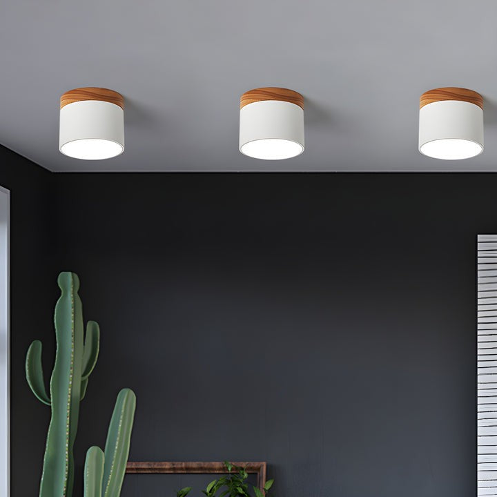 Scandinavian Wooden LED Ceiling Surface Downlight