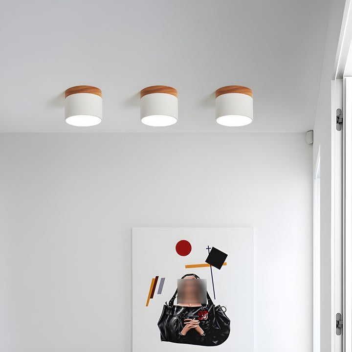 Scandinavian Wooden LED Ceiling Surface Downlight