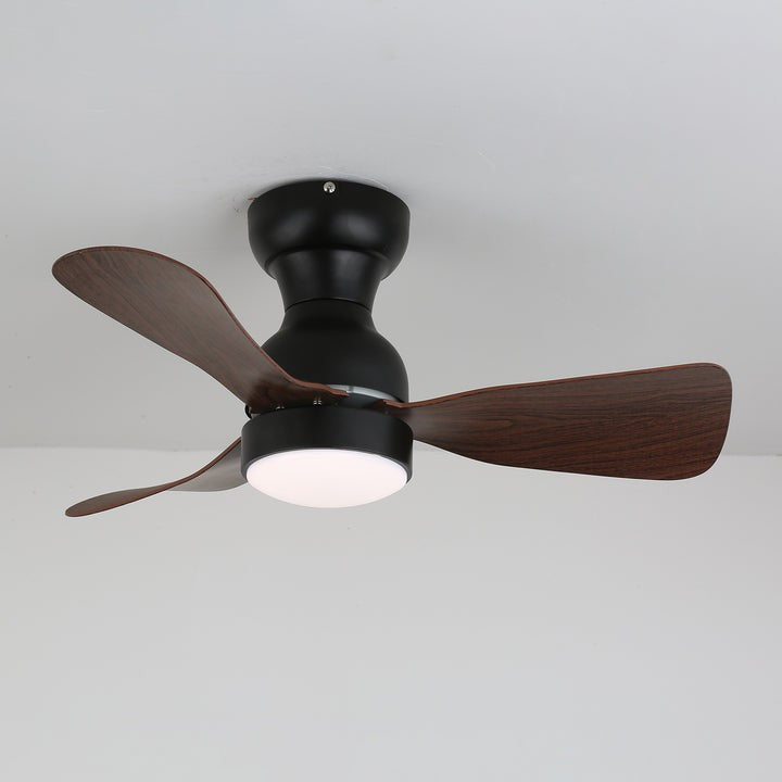 Spin Reversible LED Ceiling Fan Light