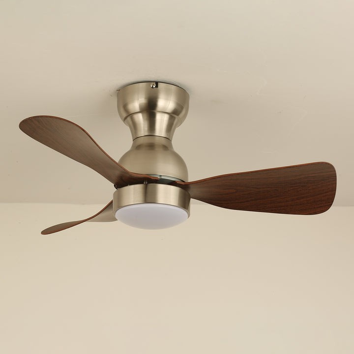 Spin Reversible LED Ceiling Fan Light