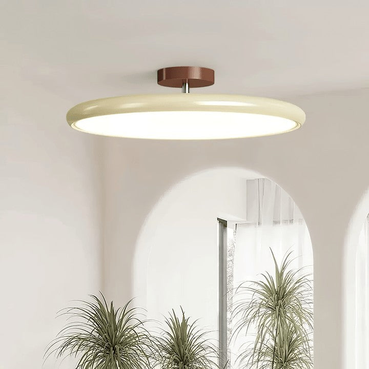 Adjustable Round LED Ceiling Light