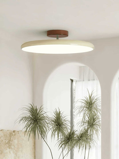 Adjustable Round LED Ceiling Light