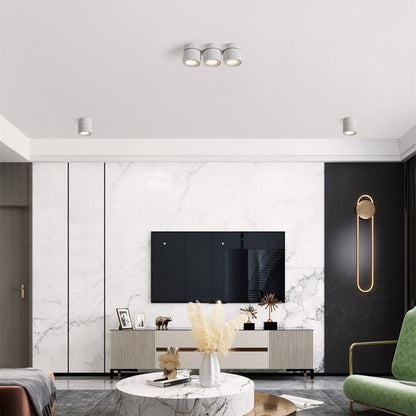 Adjustable Three-Head Folding LED Ceiling Light