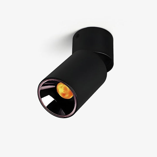Adjustable Tube Surface Mount LED Downlight