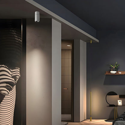 Adjustable Tube Surface Mount LED Downlight