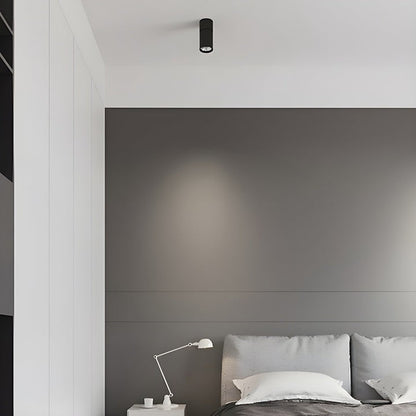Adjustable Tube Surface Mount LED Downlight