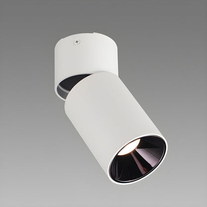 Adjustable Tube Surface Mount LED Downlight