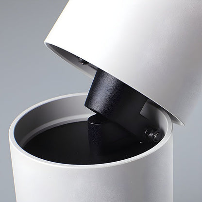 Adjustable Tube Surface Mount LED Downlight