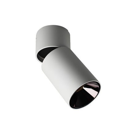 Adjustable Tube Surface Mount LED Downlight
