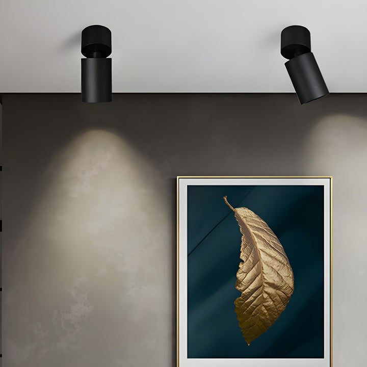 Adjustable Tube Surface Mount LED Downlight