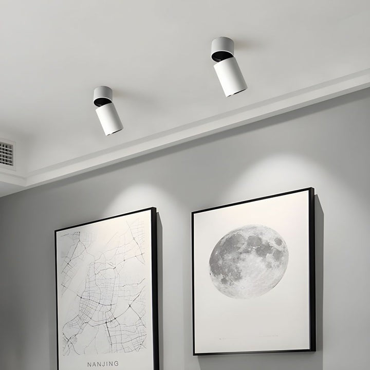 Adjustable Tube Surface Mount LED Downlight