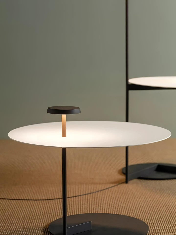 Modern Flat Disc LED Floor Lamp with Adjustable Pans