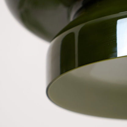 Organic Blown Glass Dome Pendant Light
