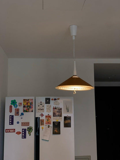 Retro Frosted Glass Pendant Light with Adjustable Cable