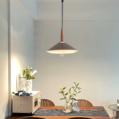 Retro Frosted Glass Pendant Light with Adjustable Cable