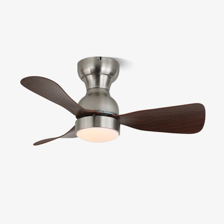 Spin Reversible LED Ceiling Fan Light