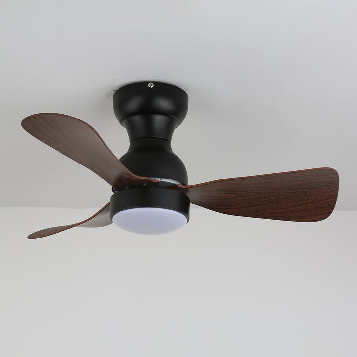 Spin Reversible LED Ceiling Fan Light
