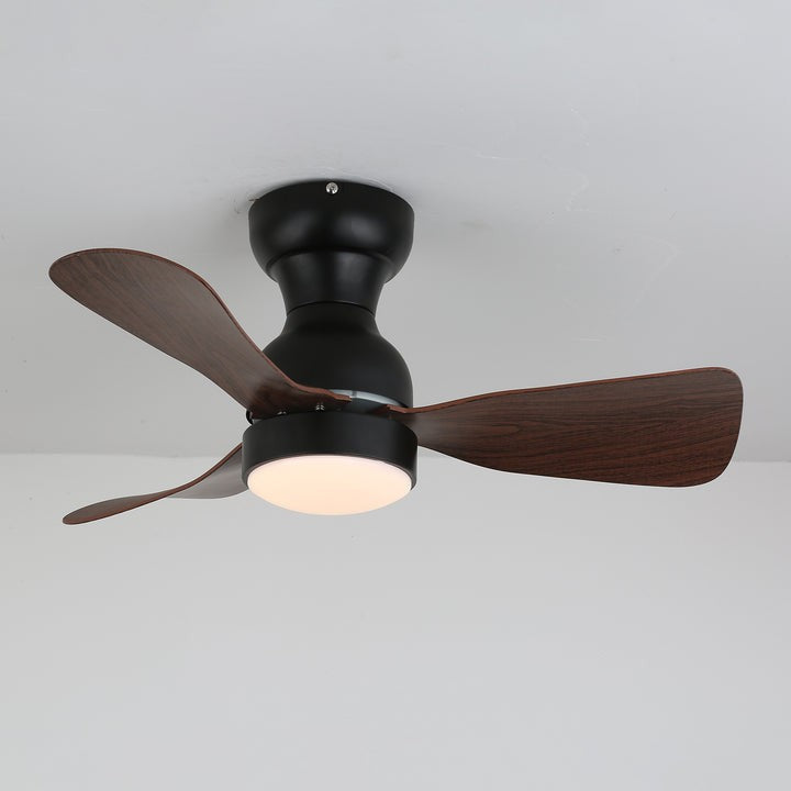 Spin Reversible LED Ceiling Fan Light