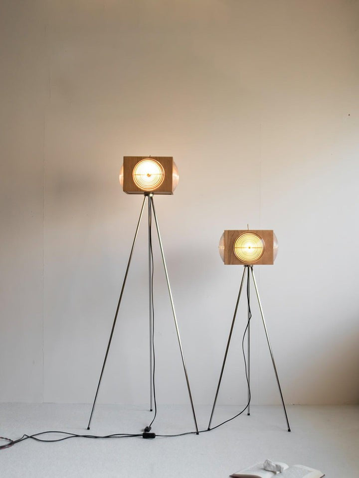 Vintage Camera Tripod Floor Lamp with Glass Shade