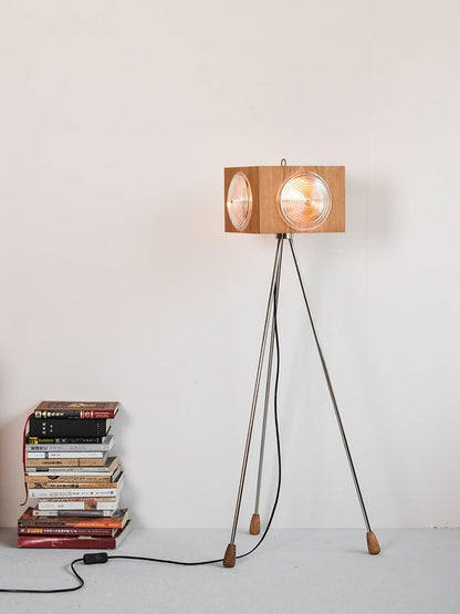 Vintage Camera Tripod Floor Lamp with Glass Shade