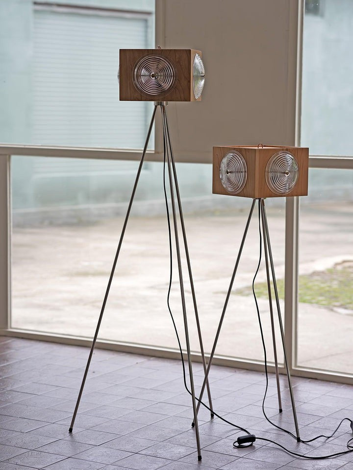 Vintage Camera Tripod Floor Lamp with Glass Shade