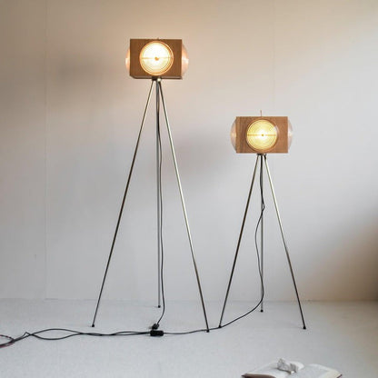 Vintage Camera Tripod Floor Lamp with Glass Shade